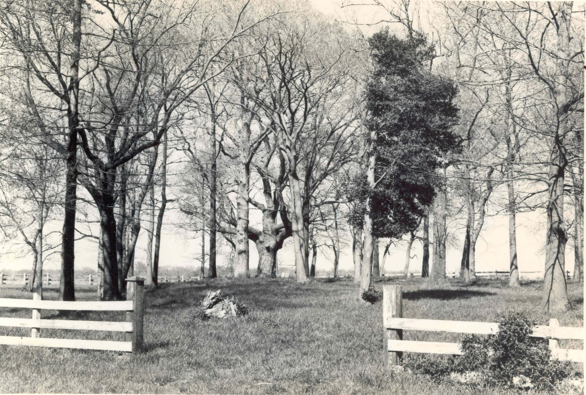 Sippin’ In A Cemetery · Forgotten Ground · 9.29.26